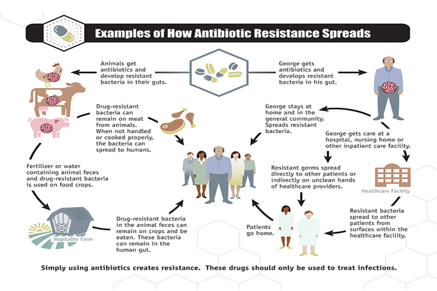 Spread the word…not the Antibiotic Resistant germs!